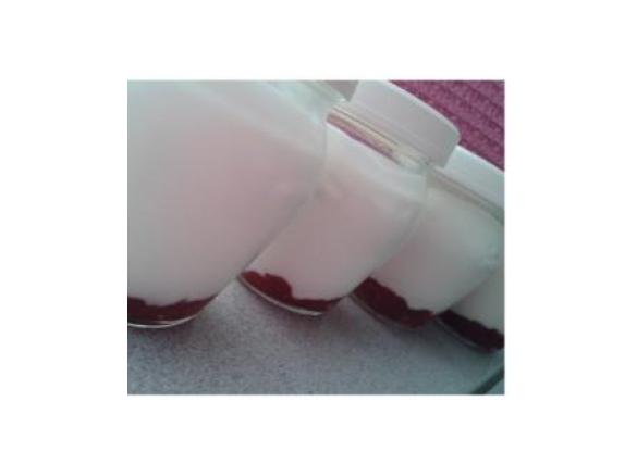 Iogurtes Gregos light