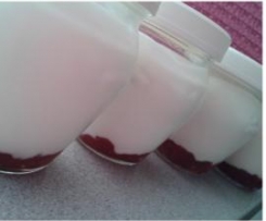 Iogurtes Gregos light