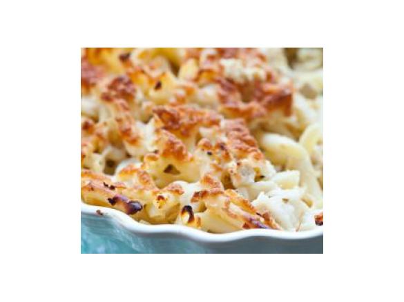 Macarrão com Frango de Fricassé gratinado