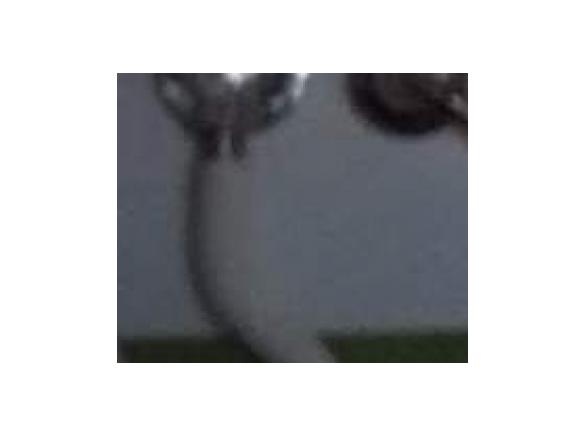 Sopa de Peixe à Vanessa