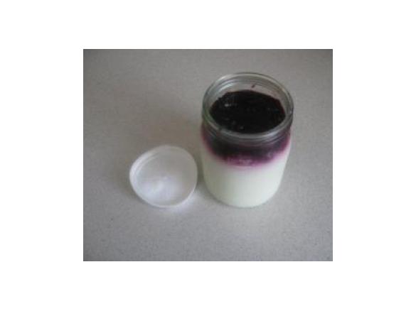 Iogurtes de Amoras Silvestres