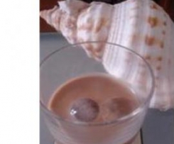 Licor Baileys Caseiro