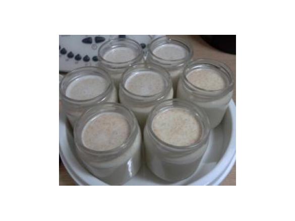 iogurtes de bolacha maria e leite condensado