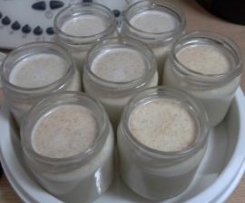 iogurtes de bolacha maria e leite condensado