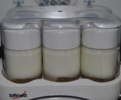 Iogurte natural com fruta