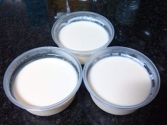 Iogurtes de Chocolate