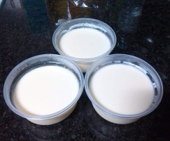 Iogurtes de Chocolate