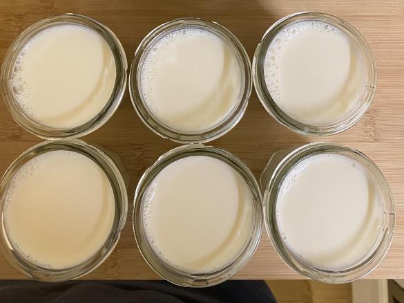 Iogurte Natural com Puré de Fruta