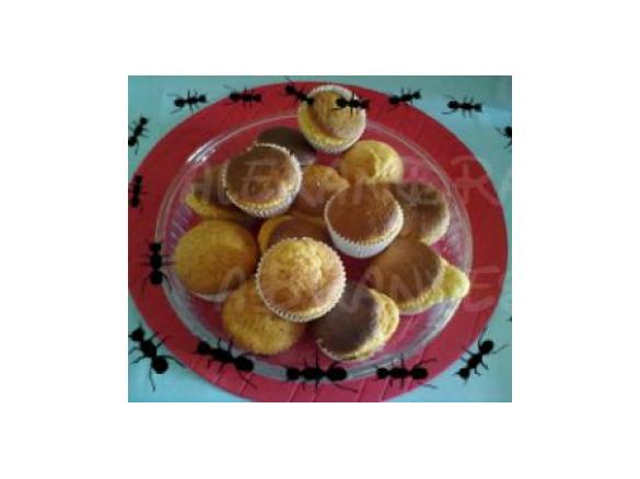 Queques de Limão e Mel