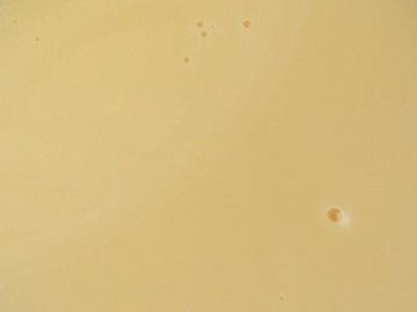 Leite Condensado Simples e Cozido