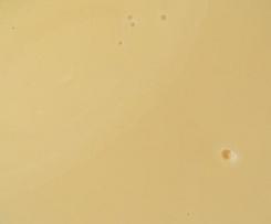 Leite Condensado Simples e Cozido