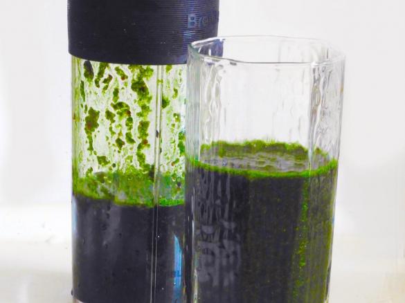 Smoothie verde