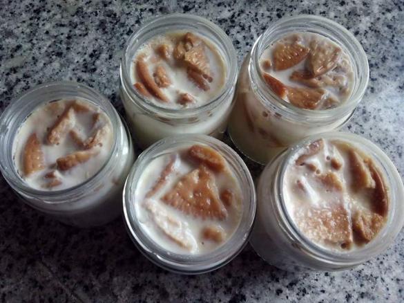 Iogurte Grego com bolacha