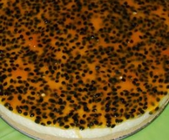 Semi-frio de Maracujá 