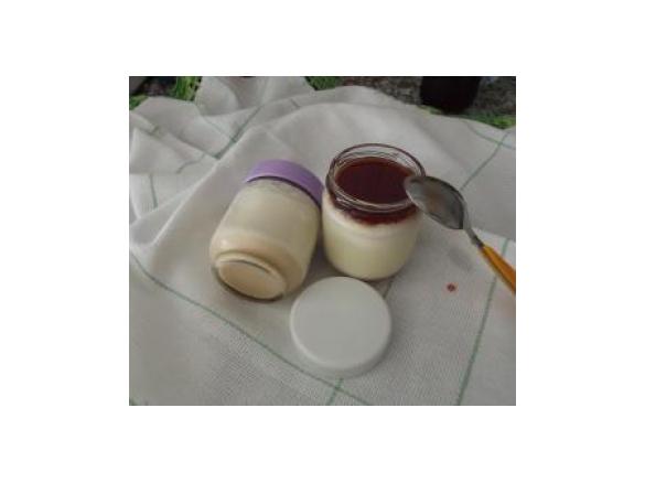 Iogurtes baunilha e Bolacha Maria