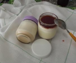 Iogurtes baunilha e Bolacha Maria