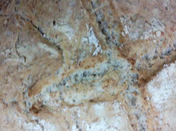 Pão milagre de sementes