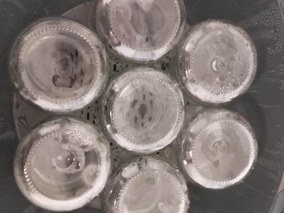 Esterilização de frascos de iogurte na Bimby