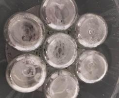 Esterilização de frascos de iogurte na Bimby