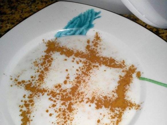Papas de Aveia - Espécie de Arroz Doce Saudável