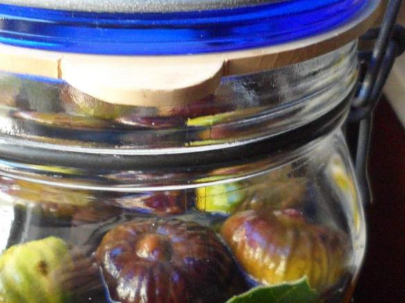 Licor de Folhas de Figueira