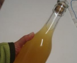 Licor de Limão