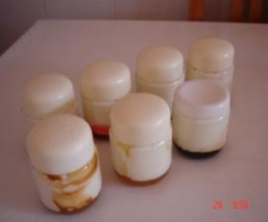 IOGURTES TIPO ADÁGIO