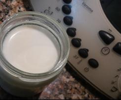 Iogurtes naturais açucarados sem leite em pó