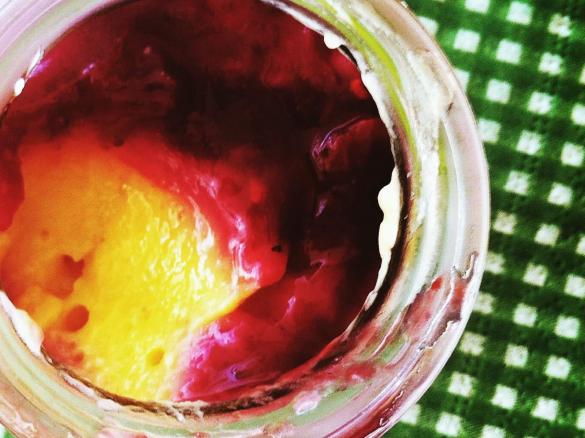 Creme de manga com coulis de frutos vermelhos