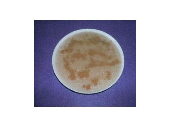 Arroz doce de amendoim