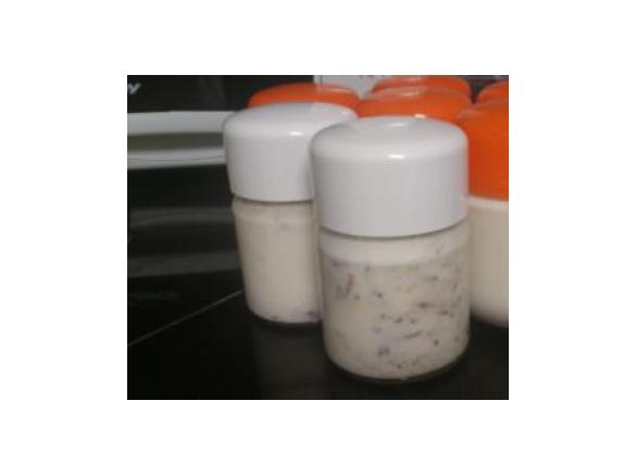 Iogurte com frutos secos, passas e goji 