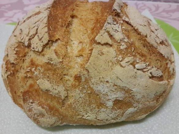 Pão caseiro, saboroso e sem glúten