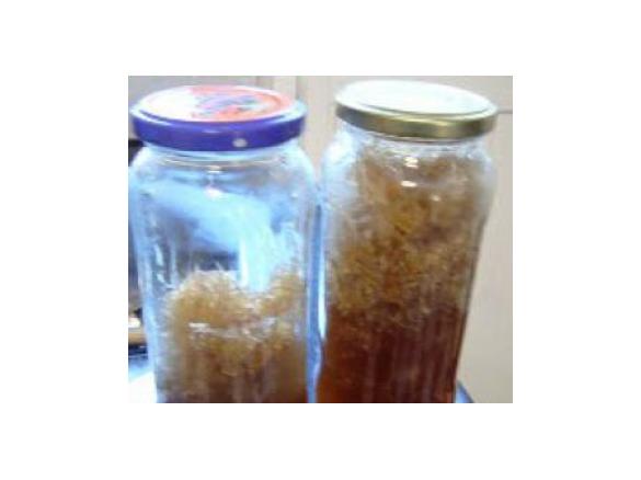 Doce de Abóbora Gila