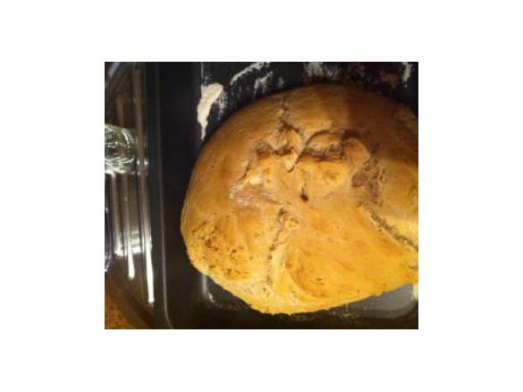 O meu primeiro pão Saloio