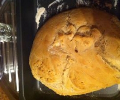 O meu primeiro pão Saloio