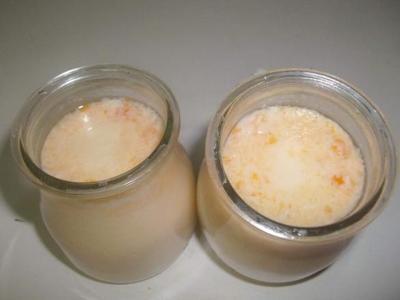 Iogurte de pêssego e alperce