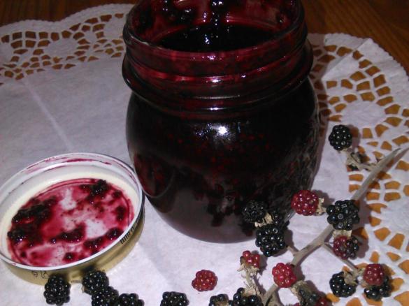 Compota de Amora Silvestre