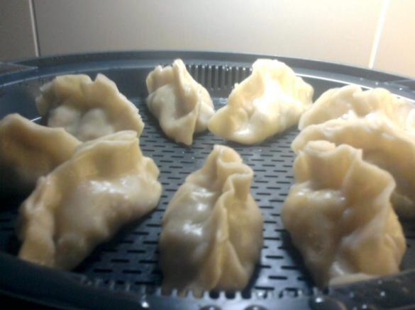 Gyoza / Wantan ou Dumpling