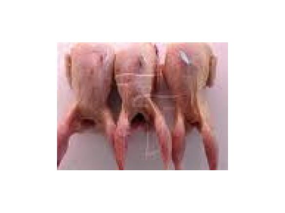 Codornizes a minha maneira