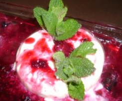 panacota com frutos do bosque