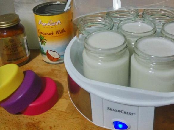 Iogurte de Leite de Côco (Vegan)