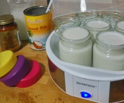 Iogurte de Leite de Côco (Vegan)