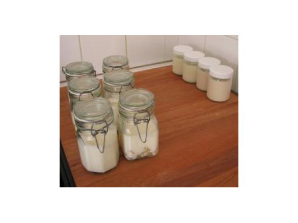 Iogurtes com aromas e iogurtes com pedaços