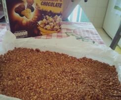 Barritas Cereais Lion