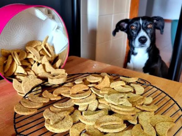 Biscoitos para cão