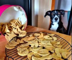 Biscoitos para cão