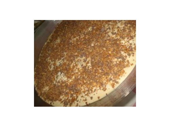 SEMIFRIO DE DE DOCE DE LEITE, CAFÉ E BOLACHA TORRADA COBERTO COM NOUGATT E CHOCOLATE