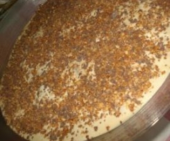 SEMIFRIO DE DE DOCE DE LEITE, CAFÉ E BOLACHA TORRADA COBERTO COM NOUGATT E CHOCOLATE