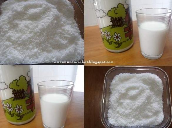 Leite de coco e farinha de coco caseiros