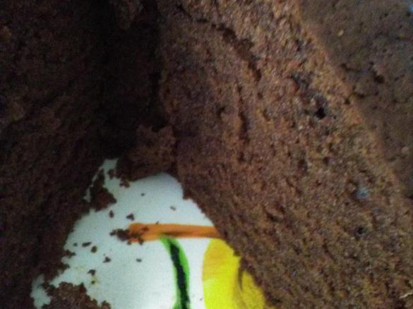 Bolo de Cacau e Chocolate